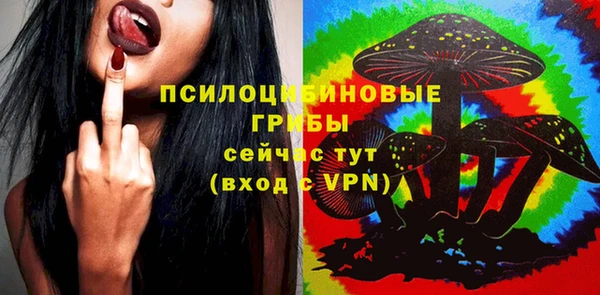 бошки Беломорск