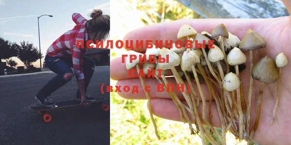 бошки Беломорск